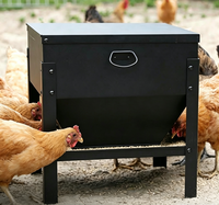 Mangeoire automatique pour volailles, bac à nourriture pour poulets, équipement d'alimentation pour volailles