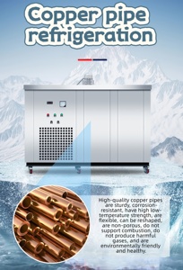 เครื่องทำน้ำแข็ง<span class=keywords><strong>มือ</strong></span>สองปรับสภาพใหม่ ราคาประหยัด ชุดเริ่มต้นสำหรับธุรกิจใหม่ในซิมบับเว - Product Image 5