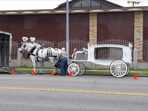 Cercueil mobile électrique, carrosse funéraire sans <span class=keywords><strong>chevaux</strong></span>, remorque funéraire à <span class=keywords><strong>4</strong></span> roues, carrosse funéraire à <span class=keywords><strong>chevaux</strong></span>, fourgon funéraire, cercueil mobile à <span class=keywords><strong>vendre</strong></span> - Product Image 6