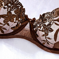 Ensemble de lingerie en dentelle pour femmes, sexy, marron, broderie dorée, soutien-gorge et culotte en maille, pour femmes, exotique, intime, vente en gros, OEM, ODM