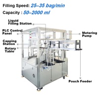 CE Twin-head automatische 30-2000ml spuitzak rotatie vul- en afsluitmachine voor yoghurt, fruitsap, dranken en detergenten