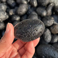 Spécimen minéraux météorite noir naturel 1 pièce, météorite tetite Reiki, pierre de cristal de guérison, décoration artisanale de la maison