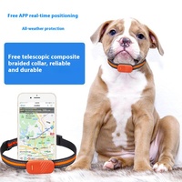 Carte SIM 4G, traceur GPS étanche IP67 pour chiens, chats et petits animaux, avec une autonomie de batterie allant jusqu'à 240 heures et visualisation sur iOS
