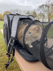 Mèo tàu sân bay ba lô mở rộng vật nuôi tàu sân bay Ba lô con chó tàu sân bay cho du lịch đi bộ đường dài Cắm Trại Ngoài trời màu xanh - Product Image 5