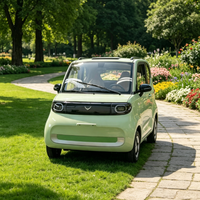 Quadricycle électrique L6e 45 km/h pour la mobilité des jeunes européens, certifié CEE, batterie au plomb 72V, véhicule électrique urbain basse vitesse