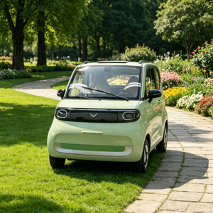 Quadriciclo Elettrico L6e 45km/h per la Mobilità Giovanile Europea, Mini <span class=keywords><strong>Auto</strong></span> Certificata EEC con Batteria al Piombo 72V, Veicolo Elettrico Urbano a Bassa Velocità - Product Image 5