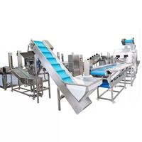 Industriële productielijn voor het verwerken van frieten, 100-3000 kg/uur, geïntegreerde productie van diepvriesfrieten voor grootschalige productie