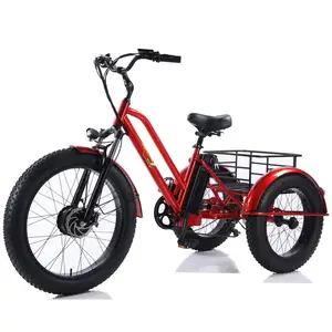 Quadro De Motor De Aço Poder Bateria Estilo Max Set Holandês 3 Rodas Café Bike Reboques Triciclo Bicicleta De Carga Elétrica