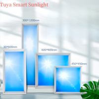 Moderne 600*600mm LED Panneau Lampes Nouveau Virtuel Sunlight Skylight App Dimmable Plafond à Distance pour Bureau Boutique Artificiel Naturel