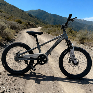 Bicicleta de Montaña para Niños de 18 Pulgadas, Estilo BMX, Cuadro de Acero, Una Velocidad, Frenos V, Horquilla con Suspensión Delantera, Ruedas de Entrenamiento, Canasta Delantera - Product Image 6