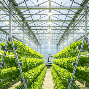 China Supplier Automatic Control System Greenhouse With Cooling System Drip Irrigation