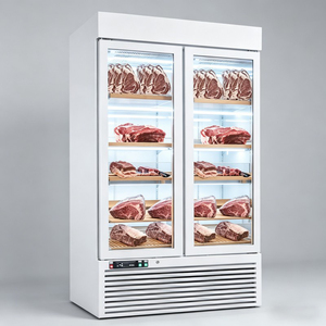 Congelador de carne de doble puerta con ventilación y control digital, máquina comercial para el maduramiento de carne y uso en servicios de catering. - Product Image 1