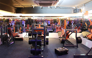 Tùy chỉnh tái chế EPDM SBR cao su thân thiện với môi chống trượt phòng tập thể dục phẳng hấp thụ sốc gạch lát sàn CE chứng nhận-40c đến 100c - Product Image 2