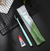 Trousse de toilette individuelle plate pour l'hôtellerie et les voyages, style écologique vert clair dégradé, fournitures de salle de bain pour chambre d'hôtes