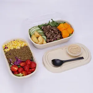 100% kompostierbare Wasserdicht Papier Lebensmittel Behälter 800ml Einweg Oval Mittagessen Box