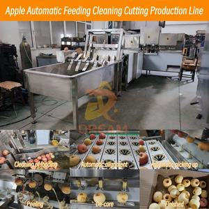 Macchina di Alta Qualità per Pelare e Rimuovere il Torsolo dalle <span class=keywords><strong>Mele</strong></span>, Lavatrice Commerciale per <span class=keywords><strong>Mele</strong></span>, Macchina per Pelare e Tagliare Frutta - Product Image 3