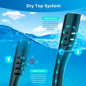 Máscara de Snorkel Completa SMACO Negra con Lente Única de Vidrio Templado, Universal para Adultos, para Deportes Acuáticos y Buceo, con Cámara Desmontable - Product Image 2