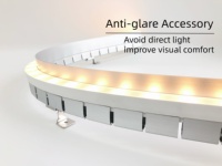 Lumière linéaire LED flexible pour extérieur, étanche IP67, pour lavage mural, éclairage souterrain, profil de jardin 3D, façade, projet, silicone néon