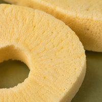 Groothandel Gedroogde Appelringetjes Snack Knapperig Zoetzuur FD Technologie OEM Fabriek Directe Export Leverancier Winkel