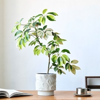 Pot de fleurs en céramique rustique de style Wabi-sabi, vase créatif pour arrangements floraux, hydroponie, plante verte d'intérieur, décoration