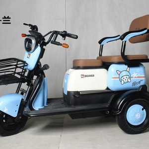 Nouveau Tricycle Électrique Puissant 2023 à Trois Roues pour Adultes, Vélo Cargo avec Outils Mobiles Inclus, Origine Chine - Product Image 3