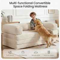 Canapé-lit futon moderne pliable 5 pouces avec accoudoirs amovibles et housse lavable, mousse haute densité, pour chambre à coucher