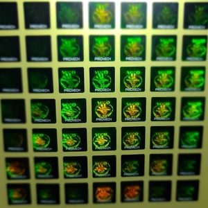 Fotopolímero Flexo Personalizado de Alta Calidad, Alta Resolución y Reciclable, Nuevo - Product Image 2