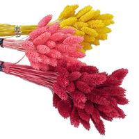 Fleurs séchées du fabricant : Queue de lapin rose corail (Lagurus), style pampa, touffe moelleuse, pour décoration intérieure, réutilisable