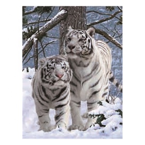 <span class=keywords><strong>Impression</strong></span> <span class=keywords><strong>lenticulaire</strong></span> d'<span class=keywords><strong>image</strong></span> de tigre 3D - Product Image 2
