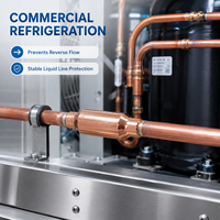 Válvula de Retención Magnética Tipo IYB, Válvula de Retención de Cobre con Certificación UL para Sistemas de Refrigeración y HVAC