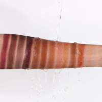 Créez votre propre marque de fards à paupières personnalisés, fournisseur de palettes de fards à paupières