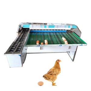 Egg Packing Machine Egg Sorter Egg Grader Machine Store Philippines Automatic Egg Sorter - Product Image 6