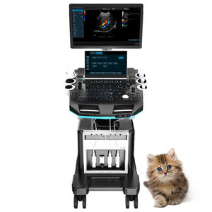 IN-T5VET pemindai Ultrasound nirkabel genggam untuk hewan peliharaan dokter hewan instrumen medis dengan sumber daya listrik <span class=keywords><strong>Probe</strong></span> dubur - Product Image 5