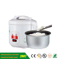 Cuiseur à riz solaire 12V DC prix de gros fabriqué en Chine cuiseur à riz solaire portable de voyage antiadhésif 2L