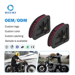 Filtre à air haute performance pour moto, remplacement 29400212 pour <span class=keywords><strong>Harley</strong></span> Touring M8 <span class=keywords><strong>2017</strong></span>+ Road King <span class=keywords><strong>Street</strong></span> <span class=keywords><strong>Glide</strong></span> Electra <span class=keywords><strong>Glide</strong></span> <span class=keywords><strong>CVO</strong></span> - Product Image 1