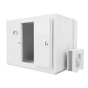 Walk in Cooler Refrigeration Cold Chamber Cold room Cold Storage Freezer