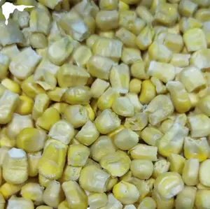 Freeze dried corn kernels Sweet corn kernels Fruit corn Freeze drying process Vegetables and fruits