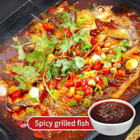 Hot Selling Good Taste Mixed Instant Barbecue Spice Seasoning Spicy Grilled Fish Seasoning for Restaurant