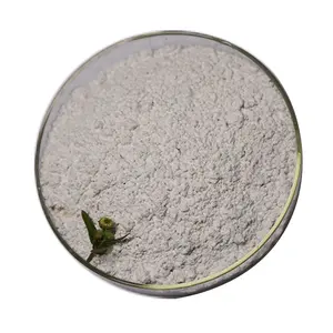 Schlussverkauf Düngemittelhersteller mehrfache Anwendungen Pulver Calcium-Sulfat-Düngemittel mit strenger Produktionslinie