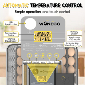 Wonegg mới chim cút vịt ngỗng DC 12V 48 mini trứng lồng ấp cho nở 30 trứng lồng ấp cho trứng cá - Product Image 3