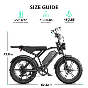 R002 Solución <span class=keywords><strong>de</strong></span> Movilidad Moderna, Bicicleta Eléctrica Desmontable <span class=keywords><strong>de</strong></span> 48V 250W con Neumáticos Gruesos <span class=keywords><strong>de</strong></span> 20 Pulgadas, Asistencia al Pedaleo, 60 km <span class=keywords><strong>de</strong></span> Autonomía, Digital Electrónico - Product Image 3