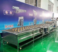 Ligne de transformation du gingembre multifonctionnelle 500 kg/h avec acier inoxydable de qualité alimentaire pour usage industriel