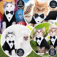 Costume de chat en coton uni avec nœuds papillon, style britannique, combinaison pour Halloween, mariage, anniversaire, toutes saisons