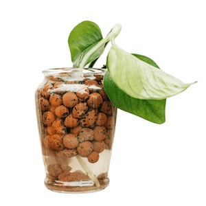 เม็ดดินไฮโดรโปนิกส์แบบขยายได้-ขนาดกลางสำหรับปลูกพืชสวนที่มีน้ำหนักเบา - Product Image 4