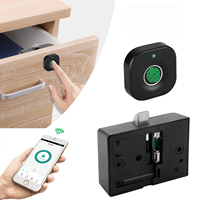 Serrures de placard à empreintes digitales Tuya Biométriques Sans clé Alliage d'aluminium Boîte en bois Meuble Tiroir Serrure