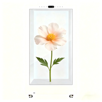 Écran tactile vertical transparent de 49 pouces, 120 Hz, verre trempé ultra-clair avec animation SDK pour magasin de détail et aquarium