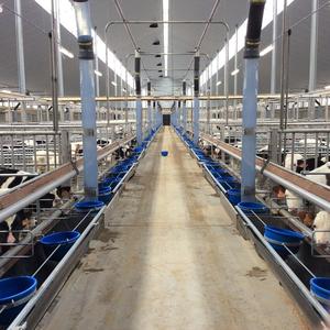 Struttura in Acciaio Leggero per Stalla di Mucche con Caratteristiche Anti-Corrosione e Antiruggine, Moderna <span class=keywords><strong>RT</strong></span> con Garanzia di 1 Anno - Product Image 4