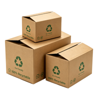 Boîte en carton ondulé 3 plis pour emballage, carton d'emballage de type B, boîte postale légère, résistante aux déchirures, pour envoi postal CE