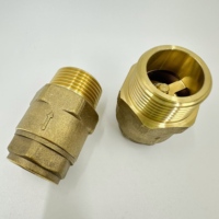 Clapet anti-retour à ressort de levage vertical à filetage femelle mâle clapet anti-retour en laiton à sens unique avec alimentation manuelle en laiton forgé