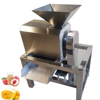 Fruitzaad En Pulp Scheidende Machine Fruitpulper Appel Mango Tomaat Druif Dadelpulper Pulper Pulpmachine